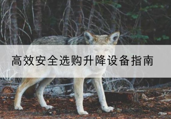 于田升降货梯厂家推荐-*安全选购升降设备指南