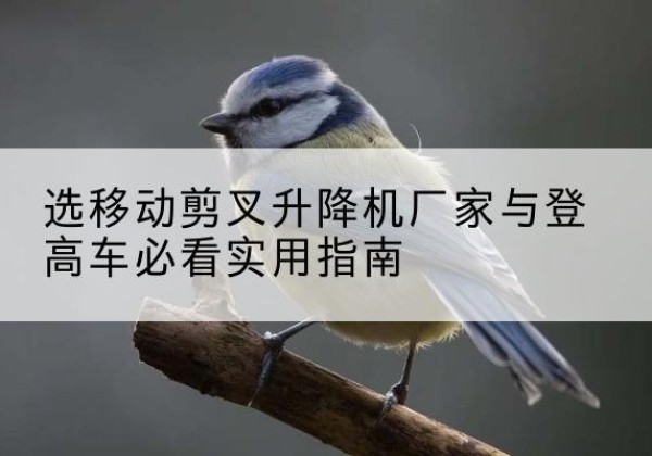 于田电动升降机厂家-选移动剪叉升降机厂家与登高车必看实用指南