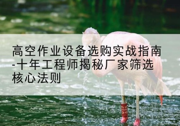 于田剪叉式升降机厂家-高空作业设备选购实战指南-十年工程师揭秘厂家筛选核心法则
